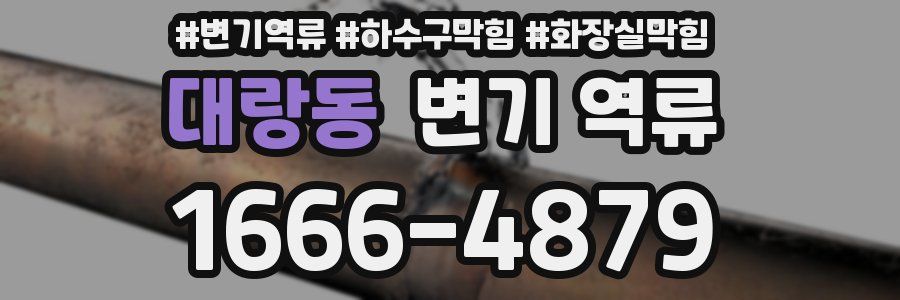 대랑동 변기 역류