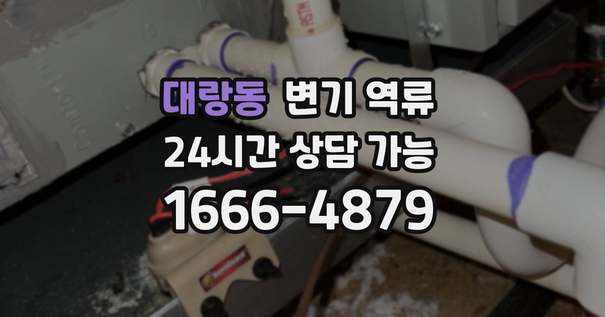 대랑동 변기 역류