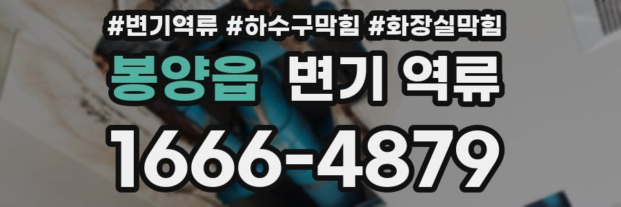 봉양읍 변기 역류