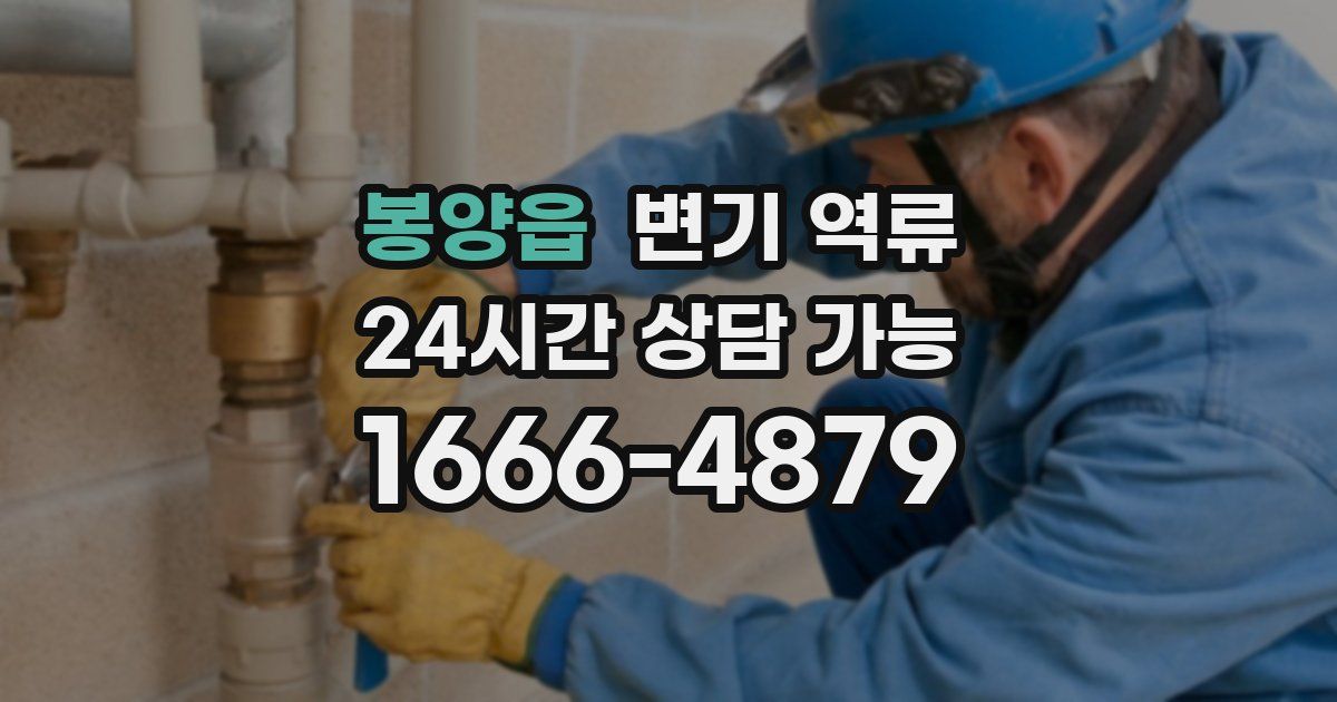 봉양읍 변기 역류