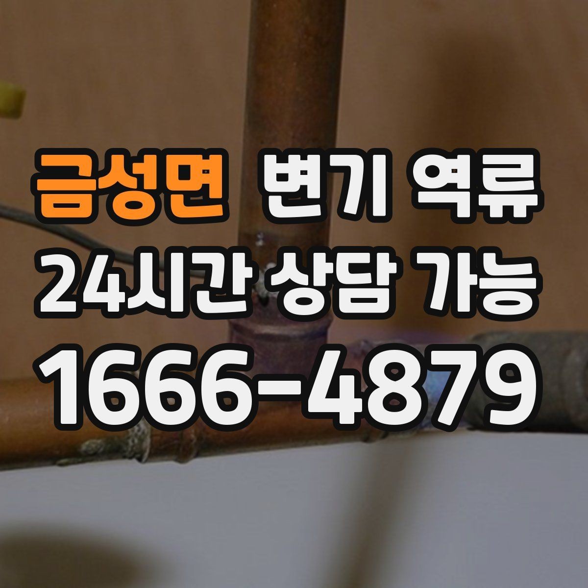 금성면 변기 역류 오염수가 섞이면 위험한 이유