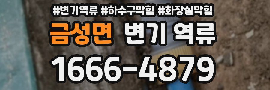 금성면 변기 역류