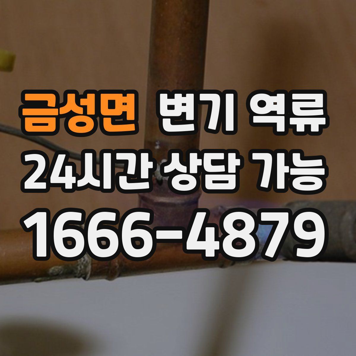 금성면 변기 역류