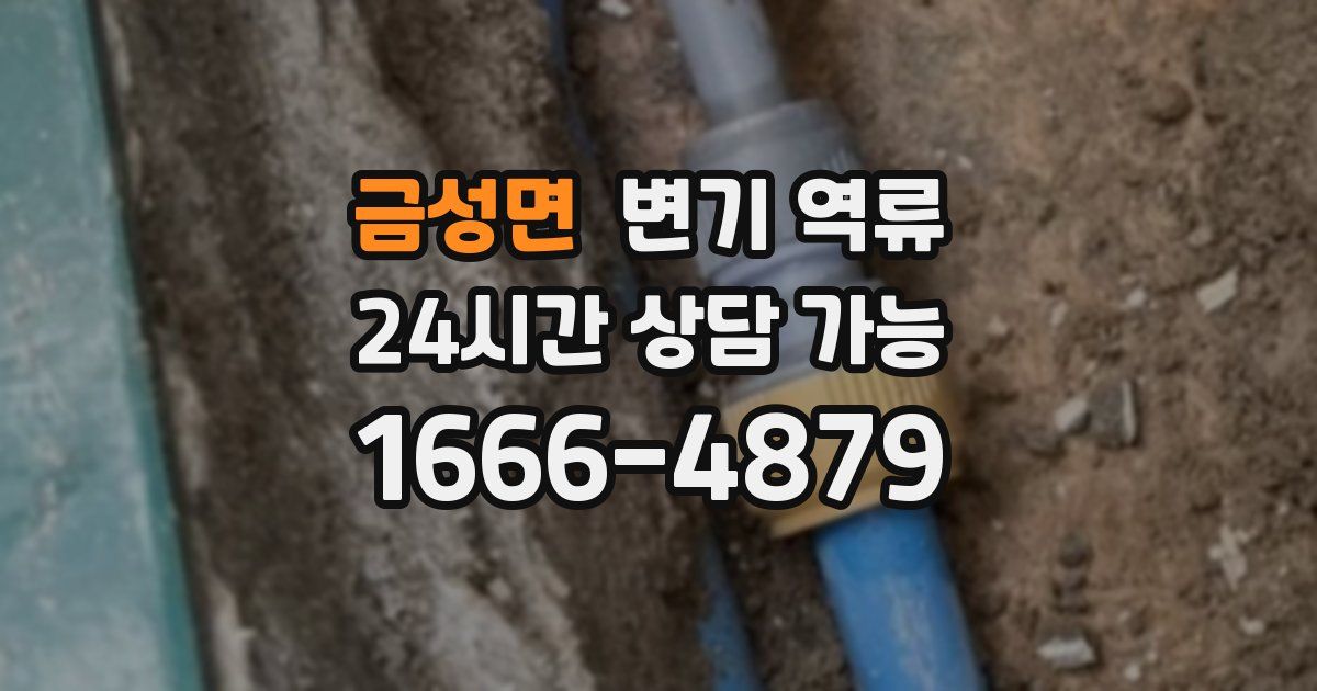 금성면 변기 역류