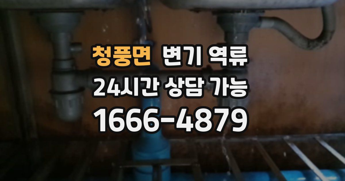 청풍면 변기 역류