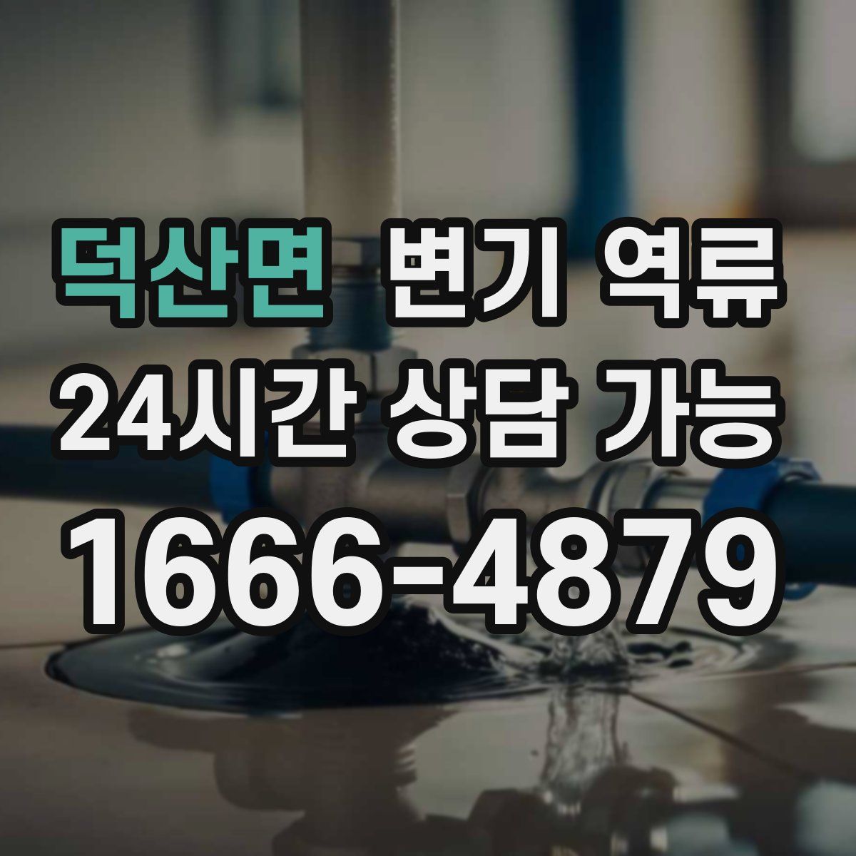 덕산면 변기 역류