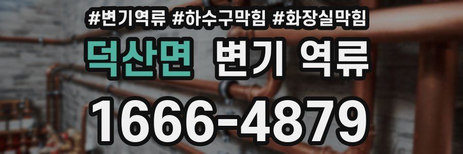 덕산면 변기 역류