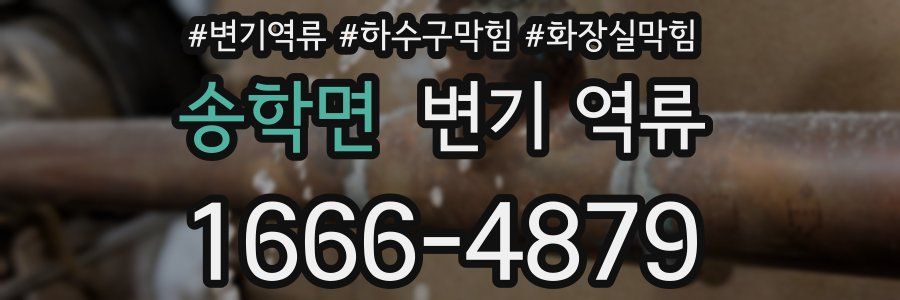 송학면 변기 역류