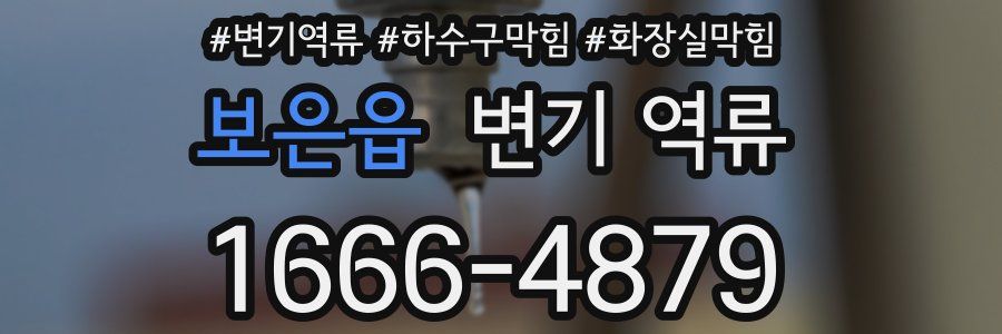 보은읍 변기 역류