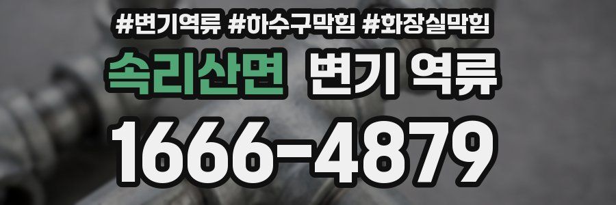 속리산면 변기 역류