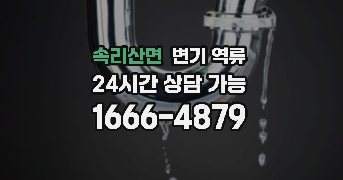 속리산면 변기 역류