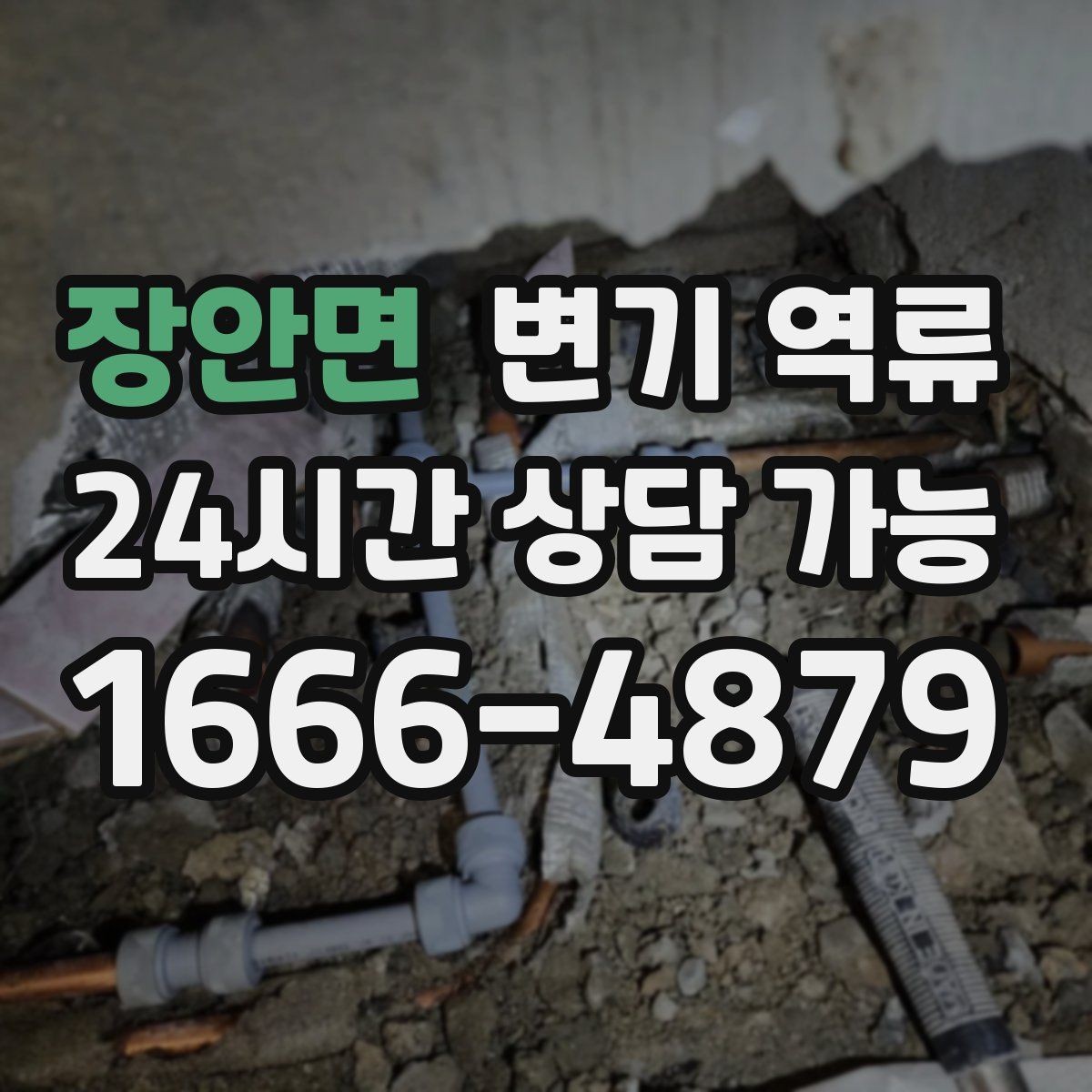 장안면 변기 역류 실리콘 틈으로 오염이 스며들 수 있는 이유