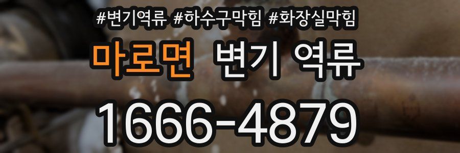 마로면 변기 역류