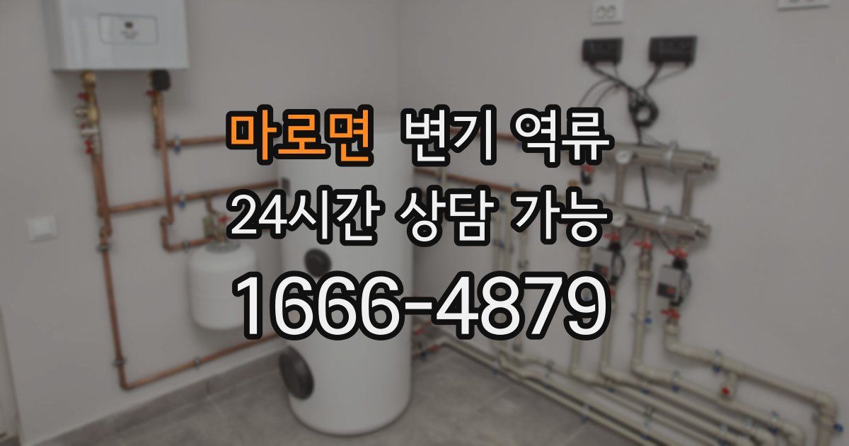 마로면 변기 역류