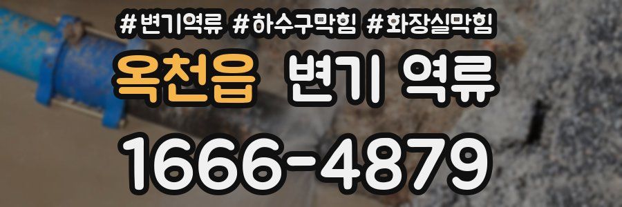 옥천읍 변기 역류