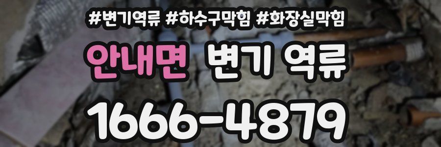 안내면 변기 역류