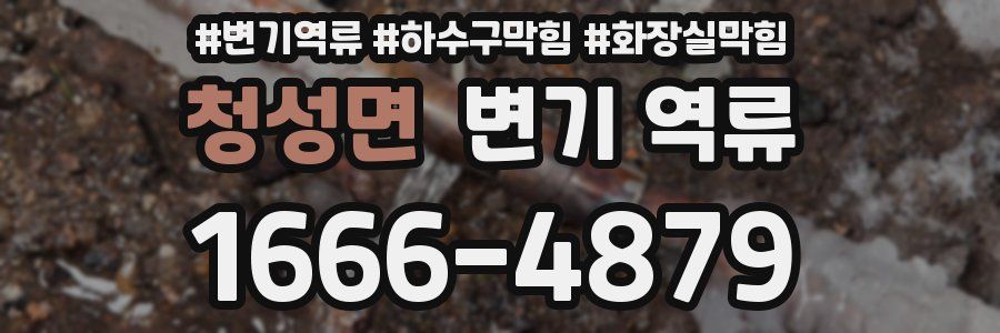 청성면 변기 역류