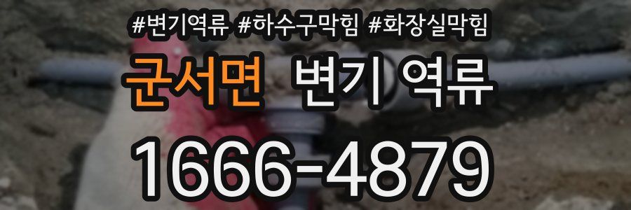 군서면 변기 역류