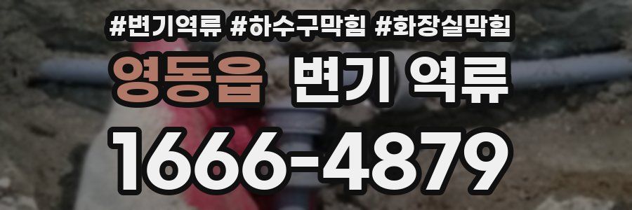 영동읍 변기 역류