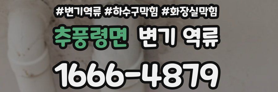 추풍령면 변기 역류