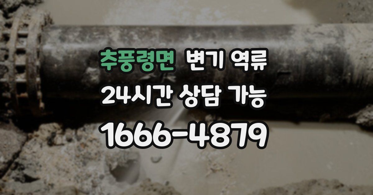 추풍령면 변기 역류