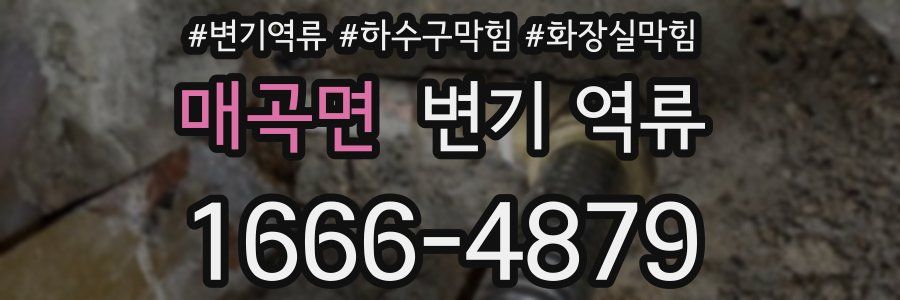 매곡면 변기 역류