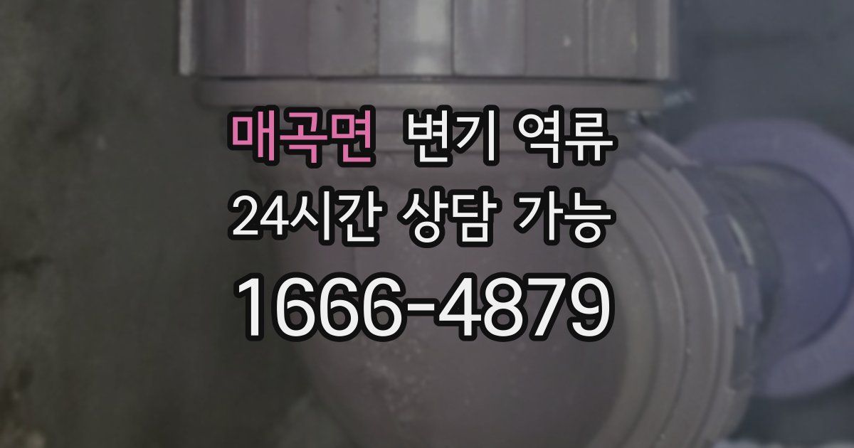 매곡면 변기 역류