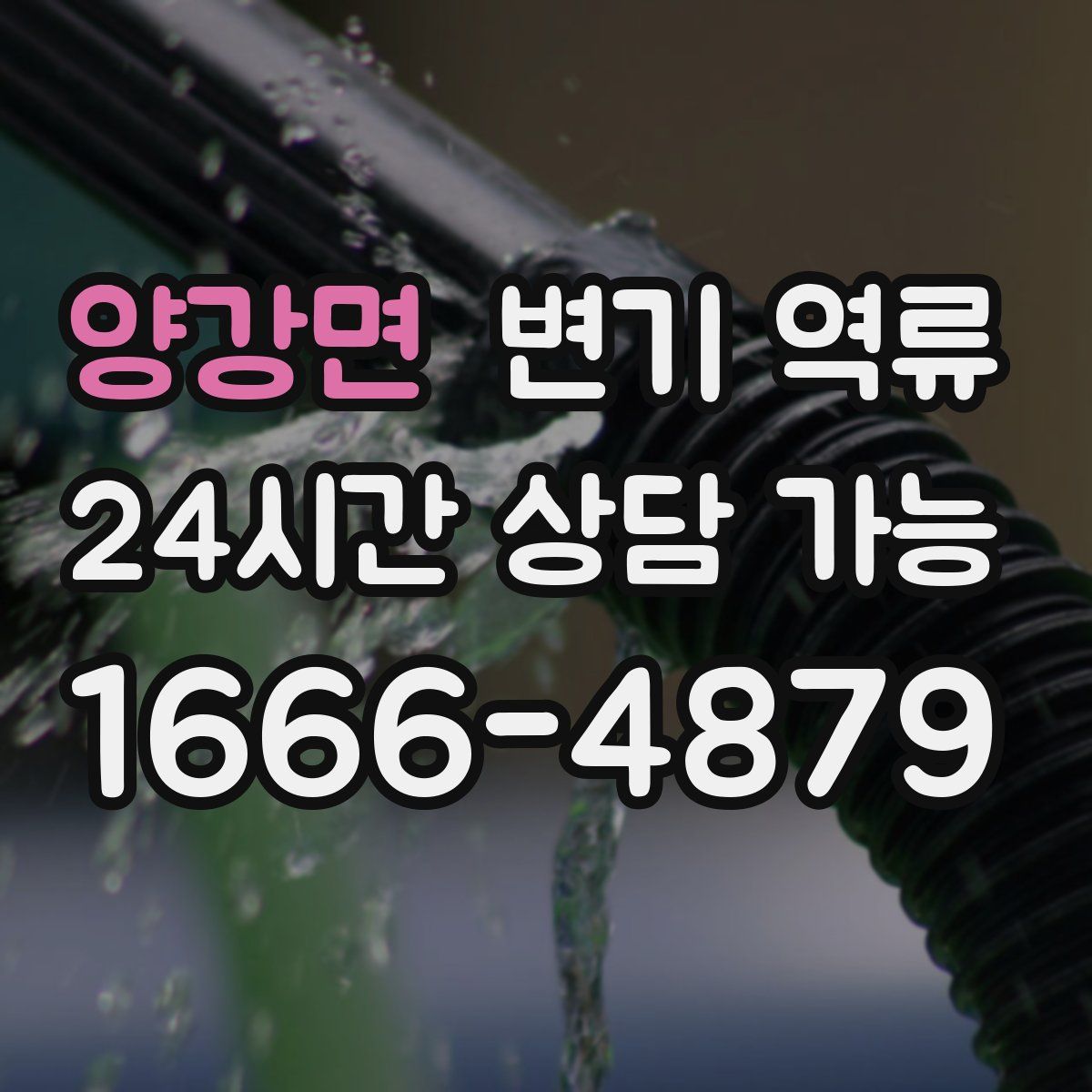 양강면 변기 역류