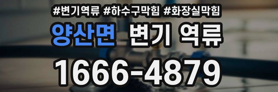 양산면 변기 역류