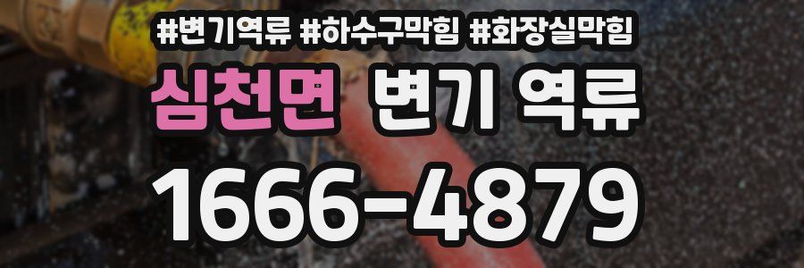 심천면 변기 역류