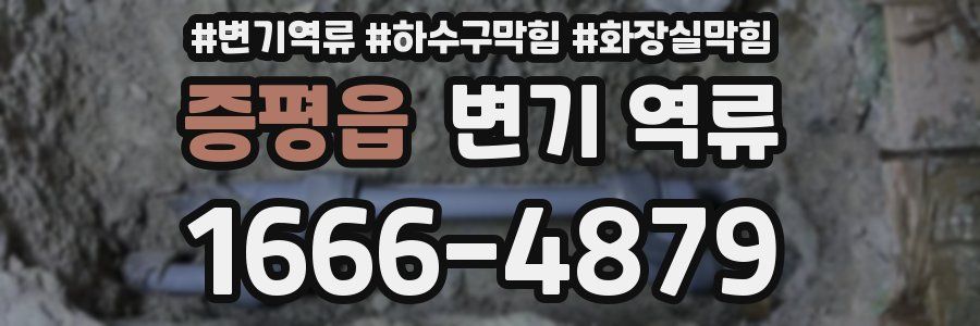 증평읍 변기 역류