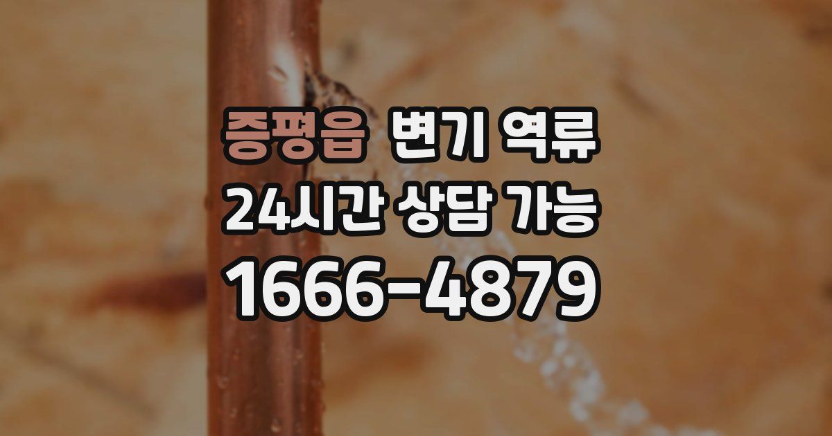 증평읍 변기 역류