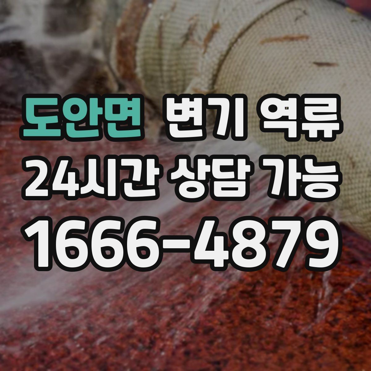 도안면 변기 역류 주말·야간에 반복된다면 의심할 것