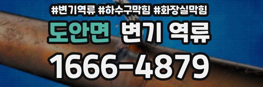 도안면 변기 역류