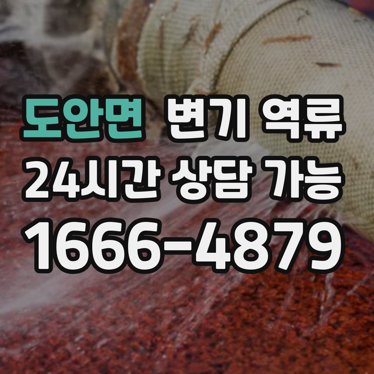 도안면 변기 역류