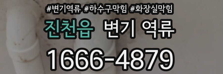 진천읍 변기 역류