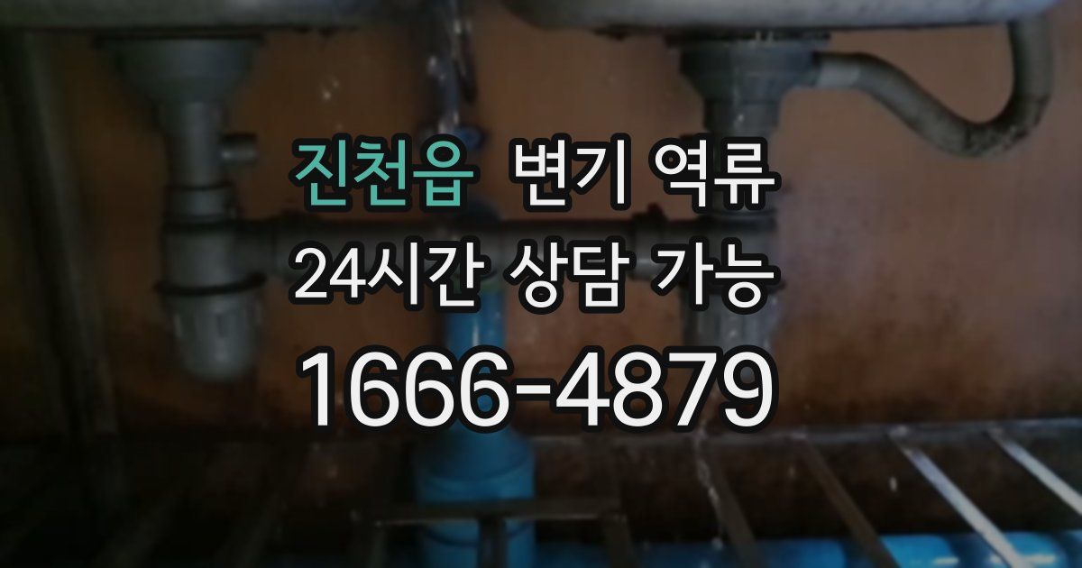 진천읍 변기 역류