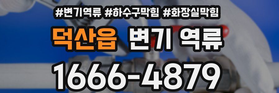 덕산읍 변기 역류