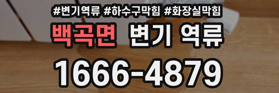 백곡면 변기 역류