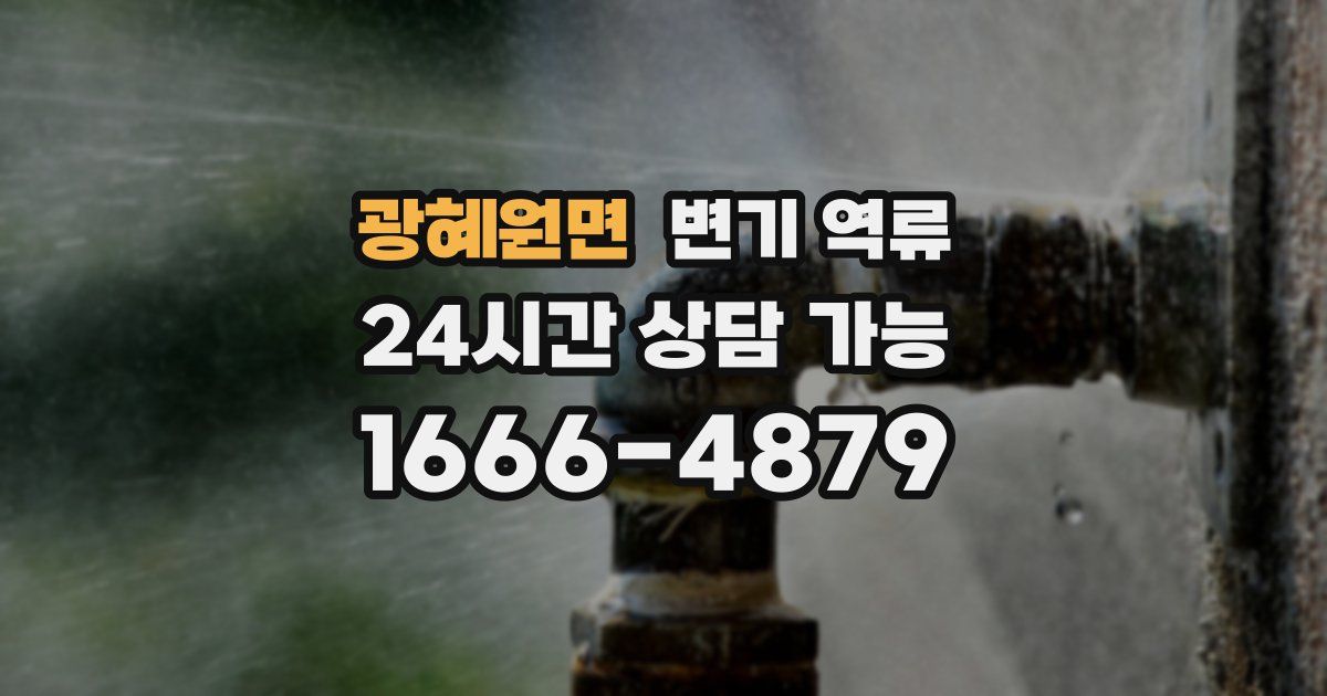 광혜원면 변기 역류