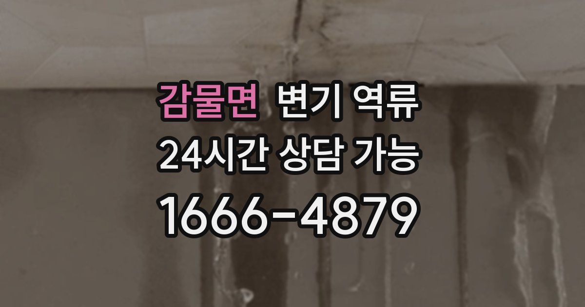 감물면 변기 역류