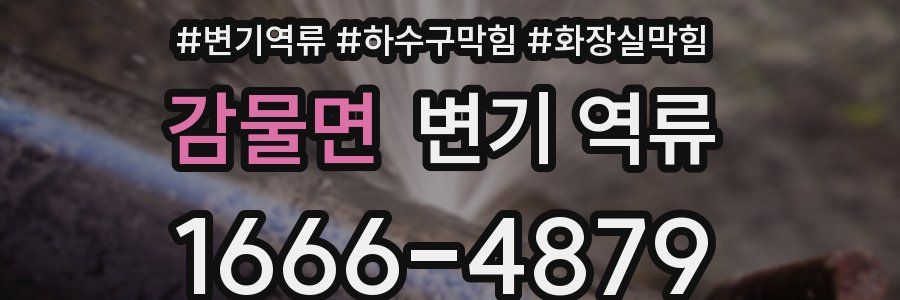 감물면 변기 역류