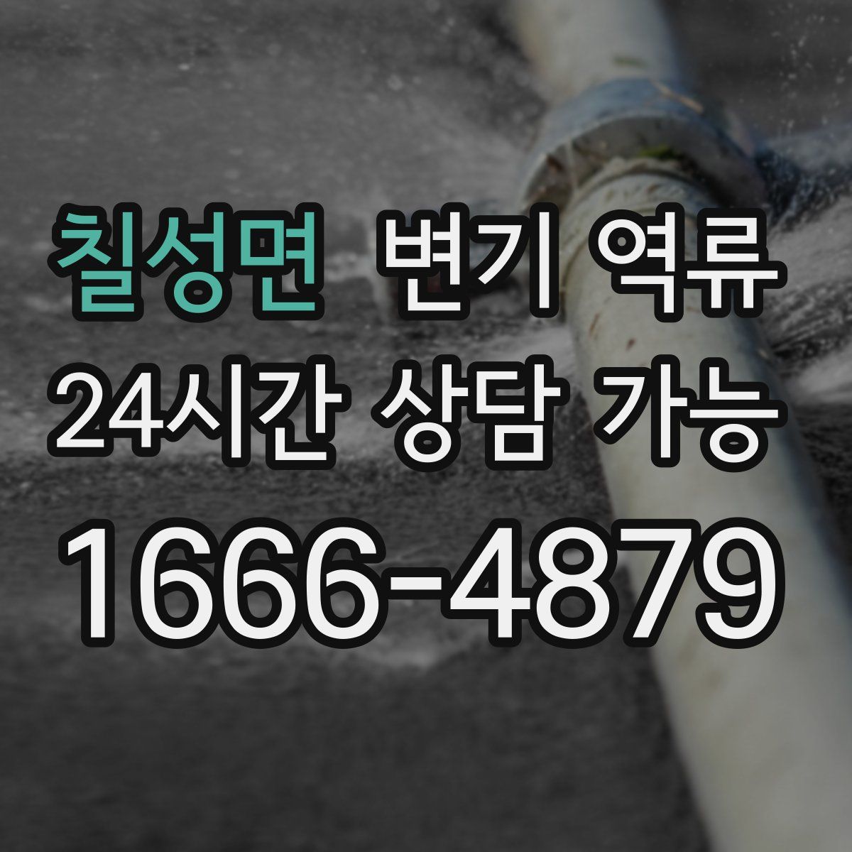 칠성면 변기 역류