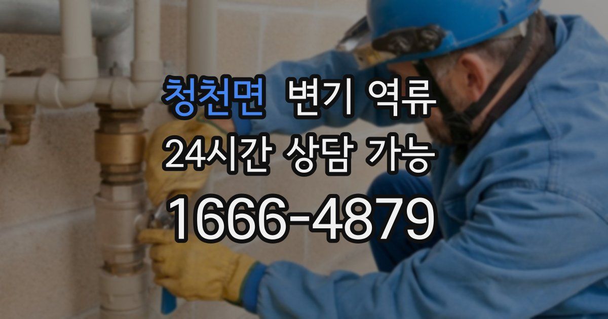 청천면 변기 역류