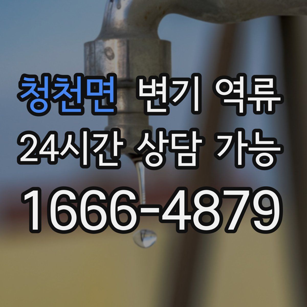 청천면 변기 역류