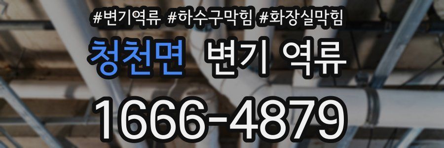 청천면 변기 역류