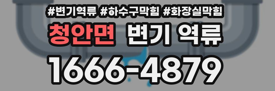 청안면 변기 역류