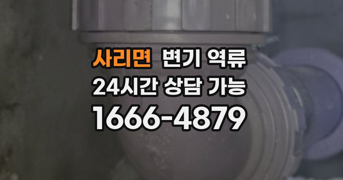 사리면 변기 역류