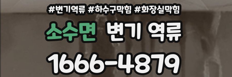 소수면 변기 역류