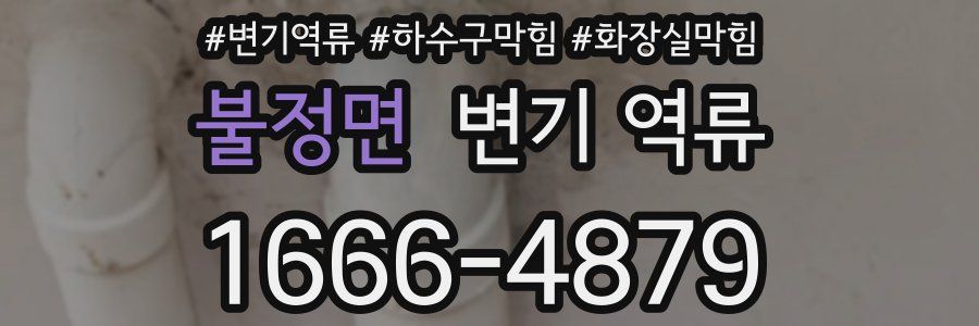 불정면 변기 역류